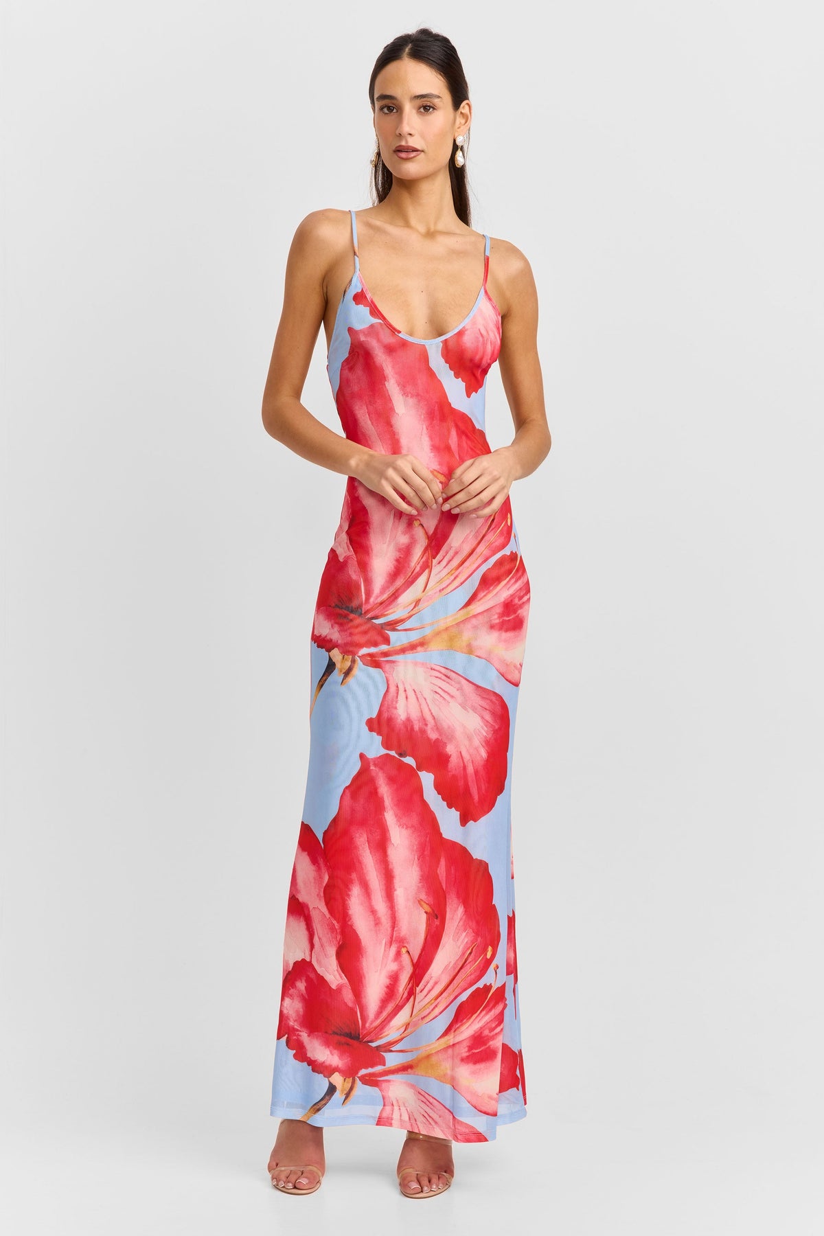 Alice Maxi Dress Blue Print