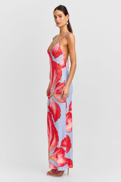 Alice Maxi Dress Blue Print
