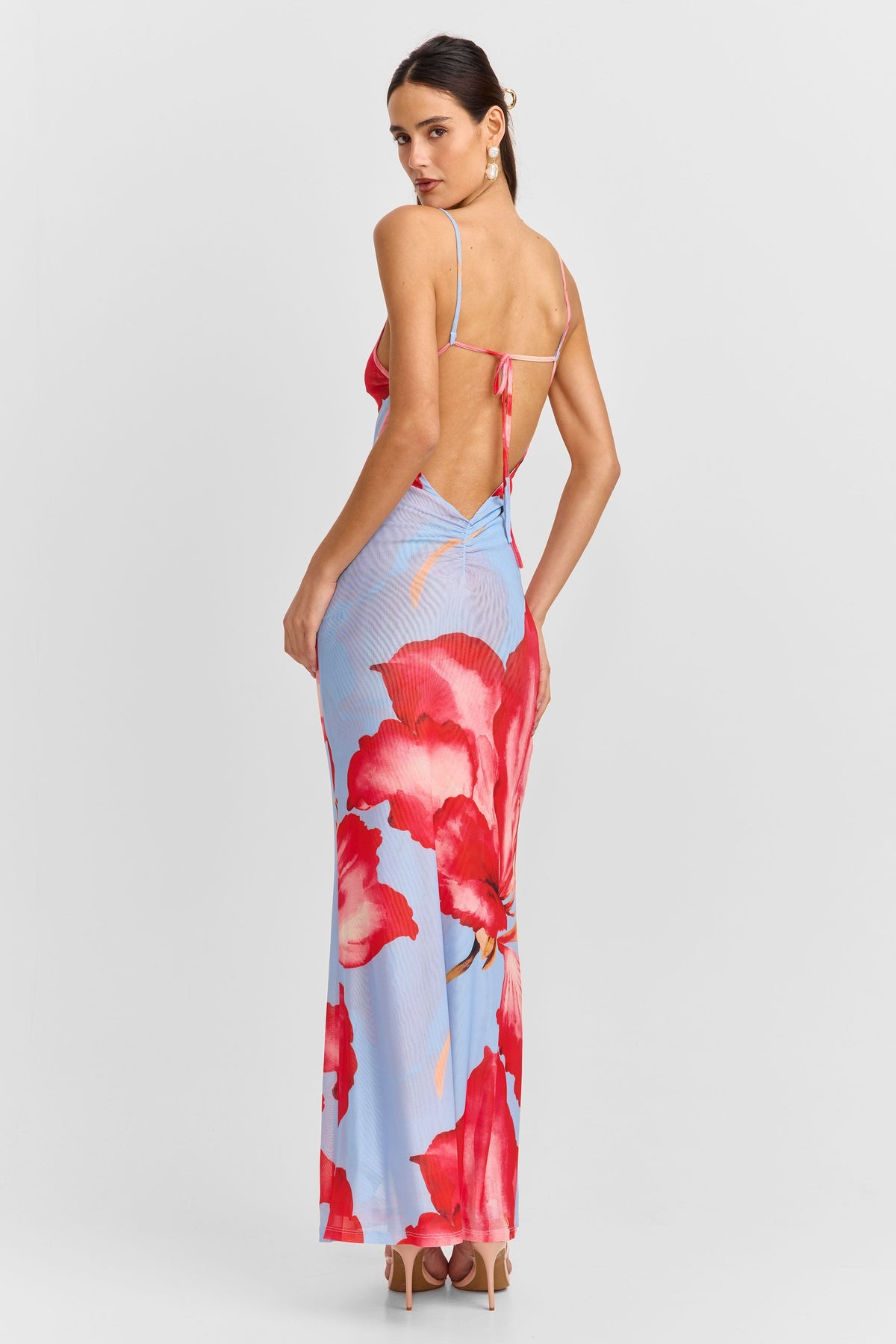 Alice Maxi Dress Blue Print