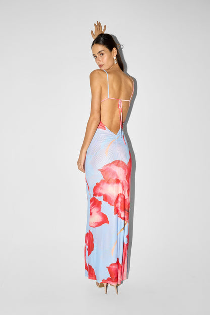 Alice Maxi Dress Blue Print