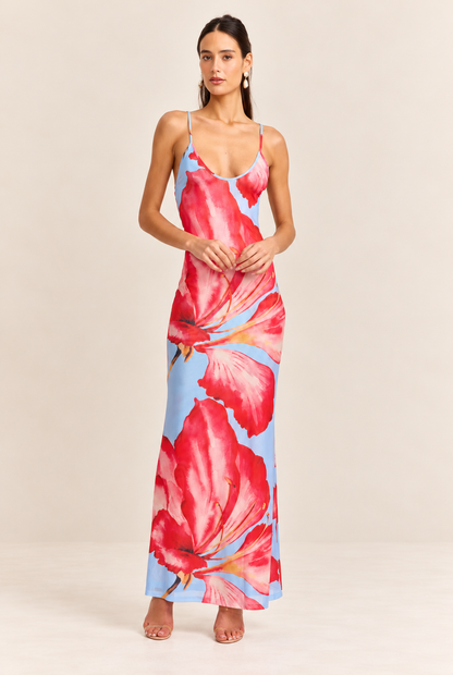 Alice Maxi Dress Blue Print